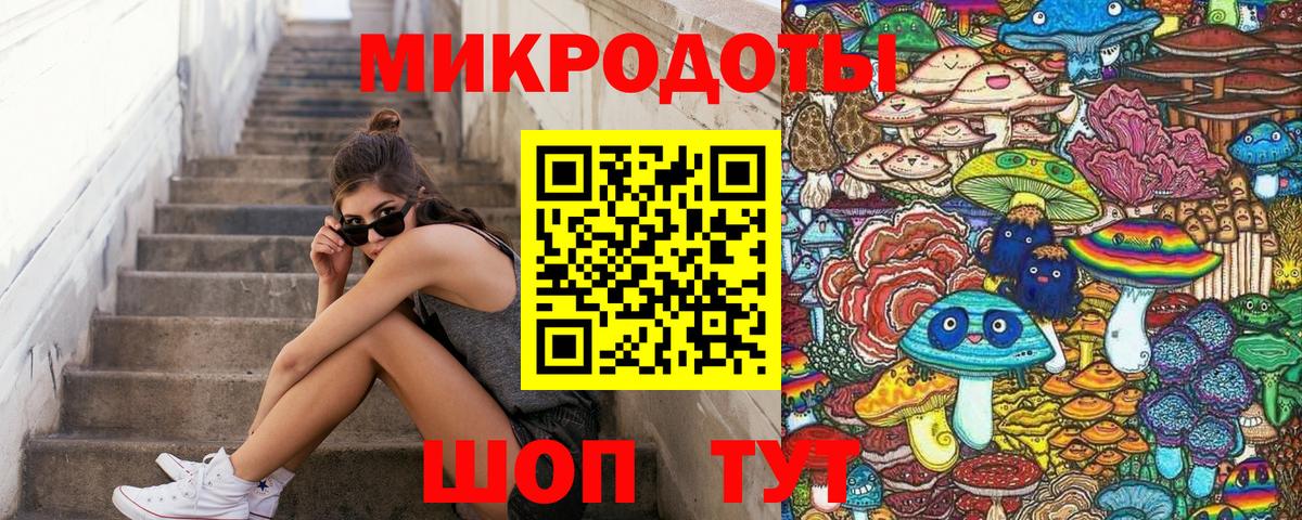 закладки  Псилоцибиновые грибы Psilocybe  Ставрополь  Вход с VPN  Псилоцибиновые грибы мухоморы 