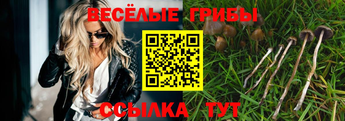Псилоцибиновые грибы Psilocybe Ставрополь